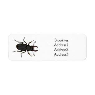Stag beetle insect illustration