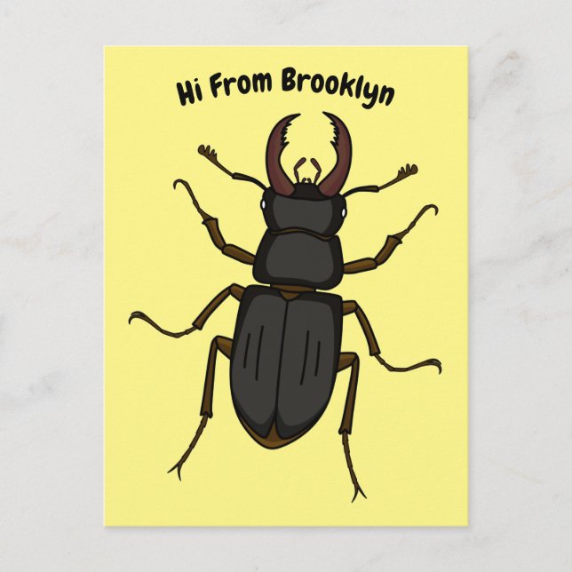 Stag beetle insect illustration postcard (Front)