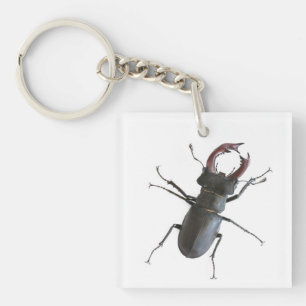 Stag beetle key ring