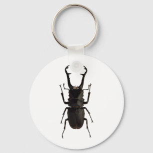 Stag Beetle Key Ring