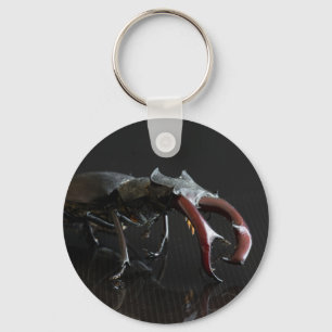 Stag beetle key ring