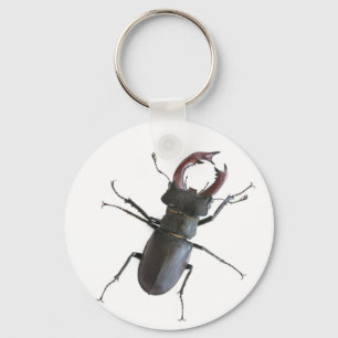 Stag beetle key ring