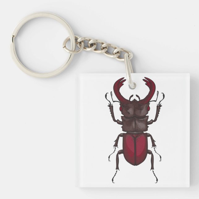 Stag beetle key ring (Front)