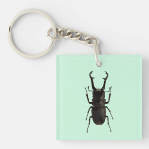 Stag Beetle Key Ring