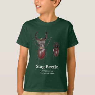 Stag Beetle,Lucanus cervus T-Shirt