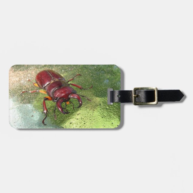 Stag Beetle ~ Luggage tag (Front Horizontal)