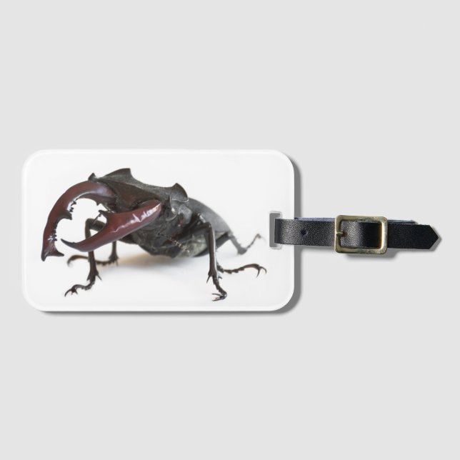 Stag beetle luggage tag (Front Horizontal)
