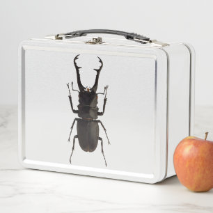 Stag Beetle Metal Lunch Box