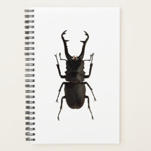 Stag Beetle Planner