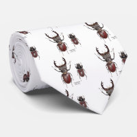 Stag Beetle