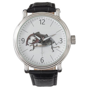 Stag beetle watch