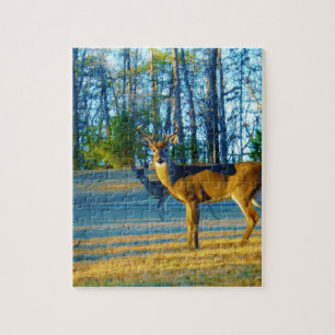 Stag / Buck  Deer, Bright blue Sky Jigsaw Puzzle
