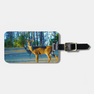 Stag / Buck Deer, Bright blue Sky Luggage Tag