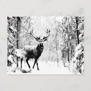 Stag Deer Winter Forest Wildlife Animal Nature Art Postcard
