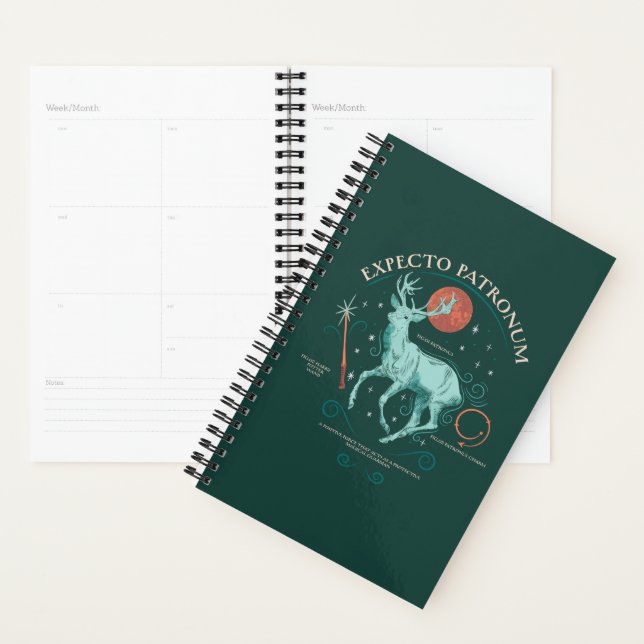Stag Expecto Patronum Graphic Planner (Display)