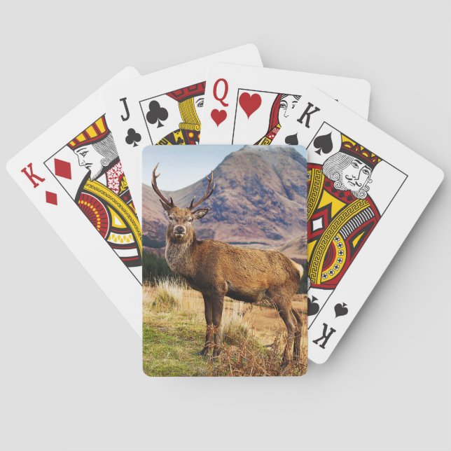 Stag Playing Cards (Back)