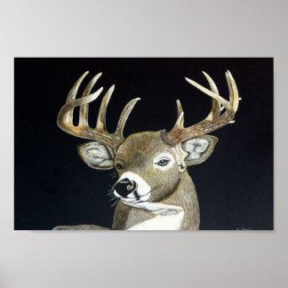 Stag Poster
