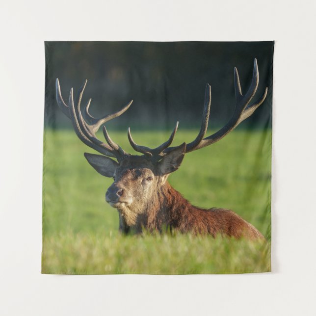 Stag Resting In The Green Grass Tapestry (Front)