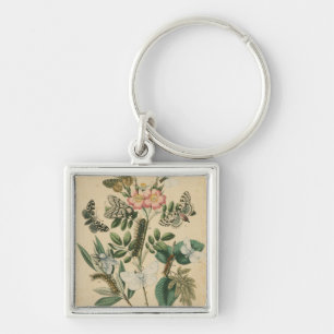 Stages of Butterfly Life by Vision Studio Key Ring