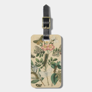Stages of Butterfly Life by Vision Studio Luggage Tag