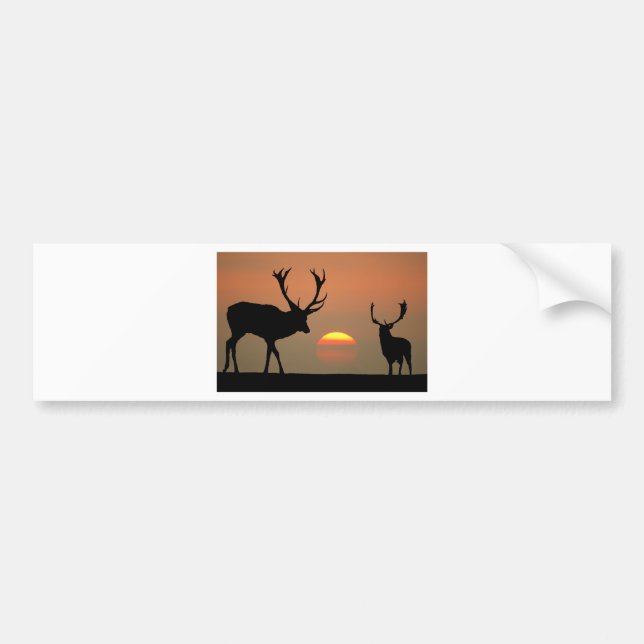 stags sunset.jpg bumper sticker (Front)