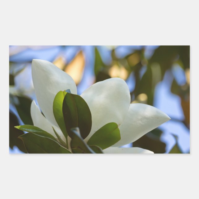 Stained Glass Sky Southern Magnolia Gifts Apparel Rectangular Sticker (Front)