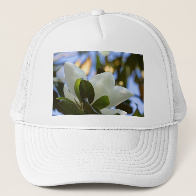 Stained Glass Sky Southern Magnolia Gifts Apparel Trucker Hat (Front)