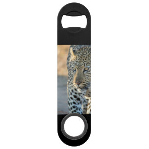 Stainless Steel Bottle Opener