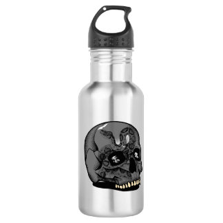 Stainless Steel Water Bottle 