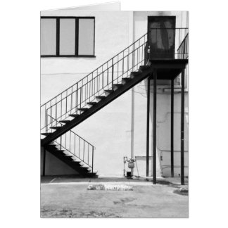 Staircase in Black and White