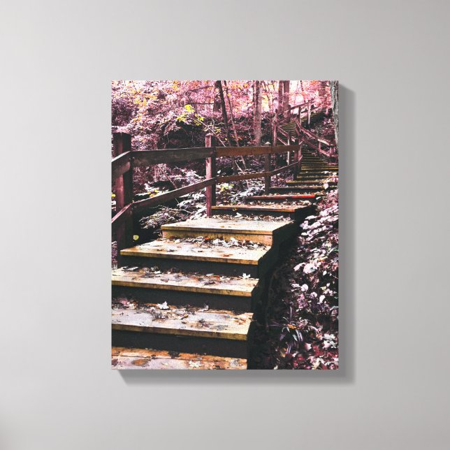 stairs dreamscape canvas print (Front)