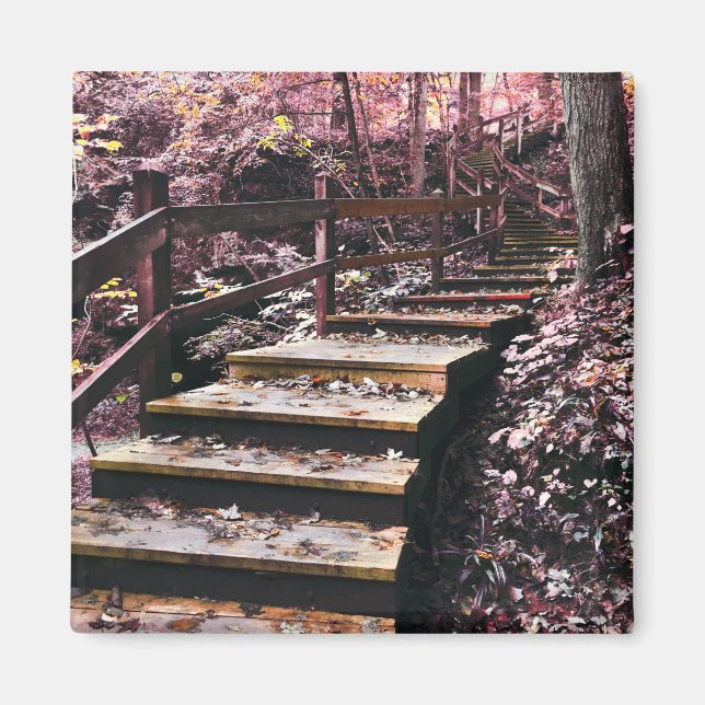 stairs dreamscape magnet (Front)