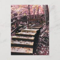 stairs dreamscape