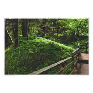 Stairs into the green countryside  photo print