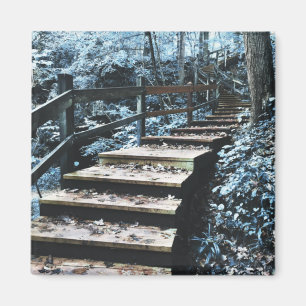 stairs nightscape magnet