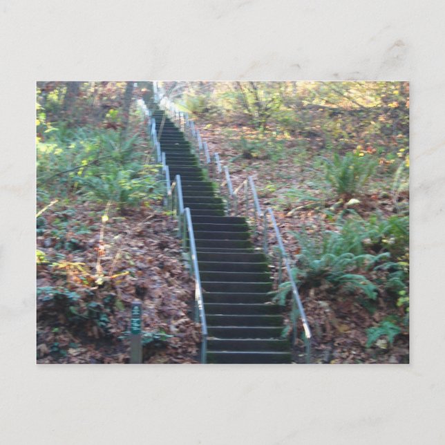 Stairway to Heaven Postcard (Front)