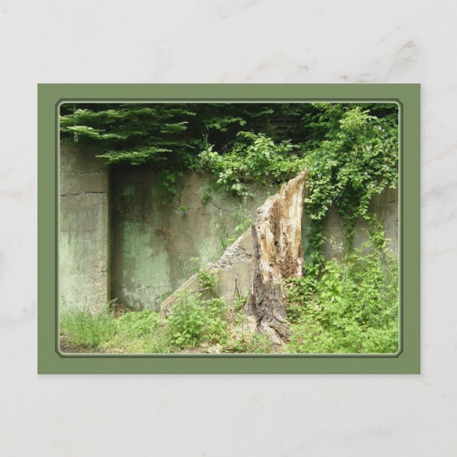 Stairway to Nowhere Postcard (Front)