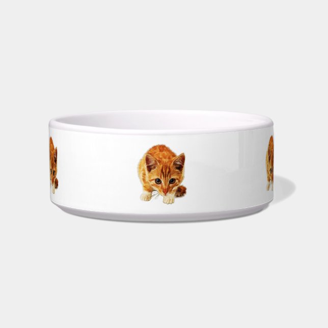 Stalking Kitten Staring at You Bowl (Front)
