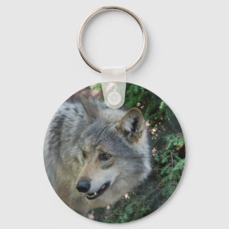 Stalking Wolf Keychain