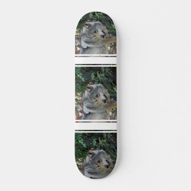 Stalking Wolf Skateboard (Front)