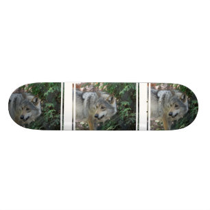 Stalking Wolf Skateboard