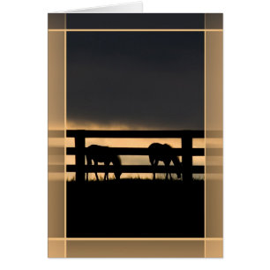 Stallion Farm Incoming Storm