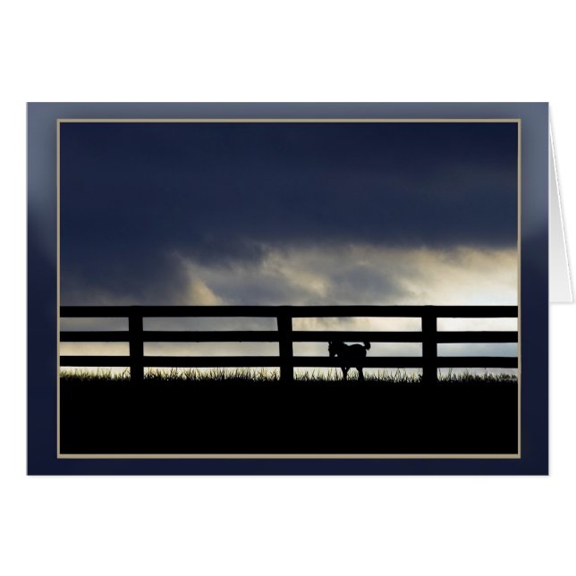 Stallion Farm Silhouette (Front Horizontal)