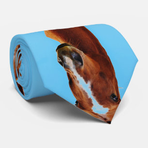 Stallion Horse print Tie
