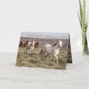 Stallion Leads the Way Wild Horse Greeting Card