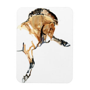 Stallion Magnet