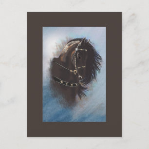Stallion Portrait - Postcard