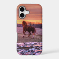 Stallion Running Home at Sunset on Ranch
