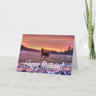 Stallion Running Home at Sunset on Ranch Card