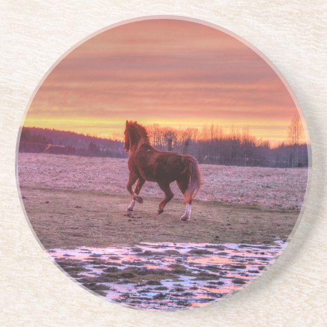 Stallion Running Home at Sunset on Ranch Coaster (Front)